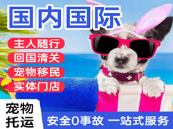 甘孜康定机场空运国际宠物托运 【国